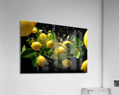 lemons crashing3 Acrylic Print