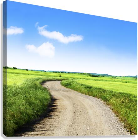 Green grass fields and road Canvas Print