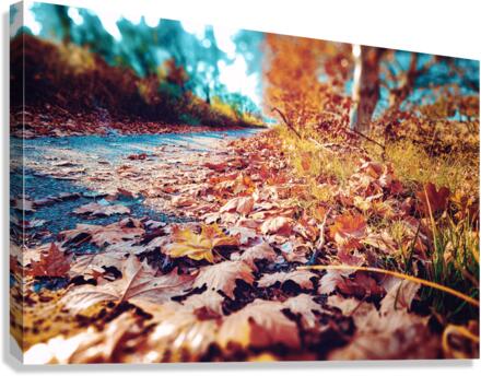 Autumn sunset landscape. Canvas Print