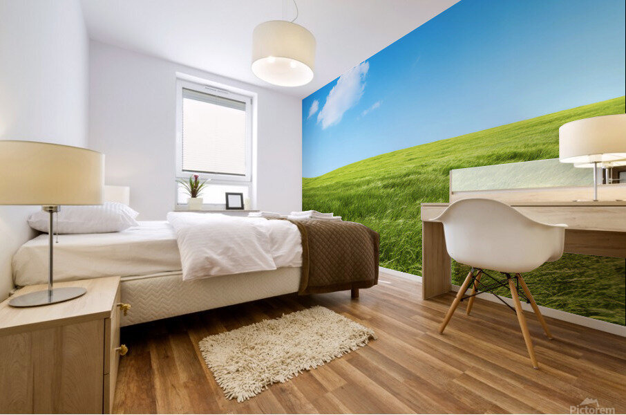 Green grass fields Mural print
