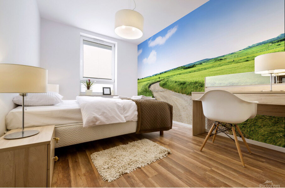 Green grass fields and road Mural print