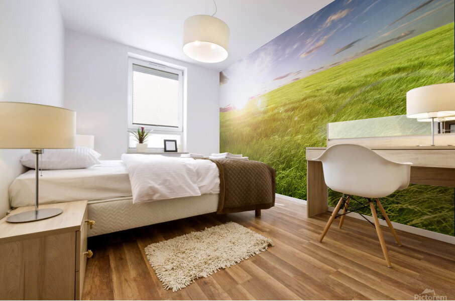 Sunset green fields Mural print