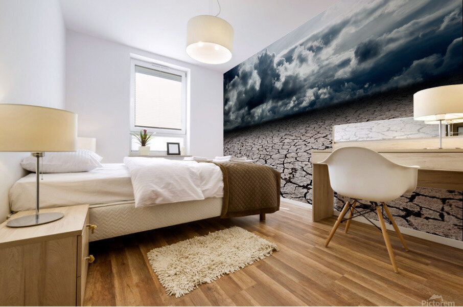 Storm desert Mural print