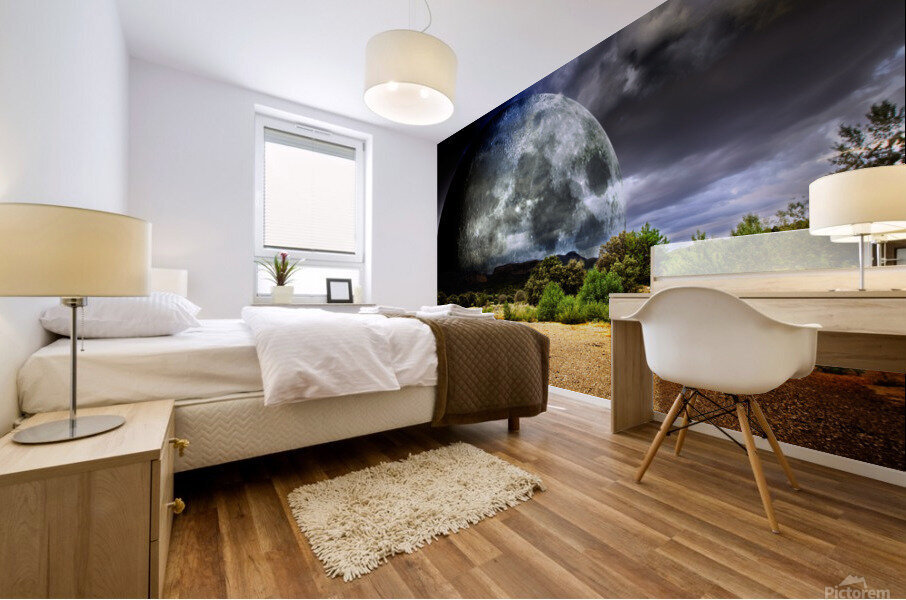 Full moon Mural print