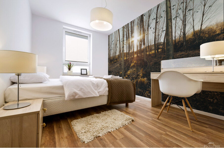Sunset forest scenery. Mural print