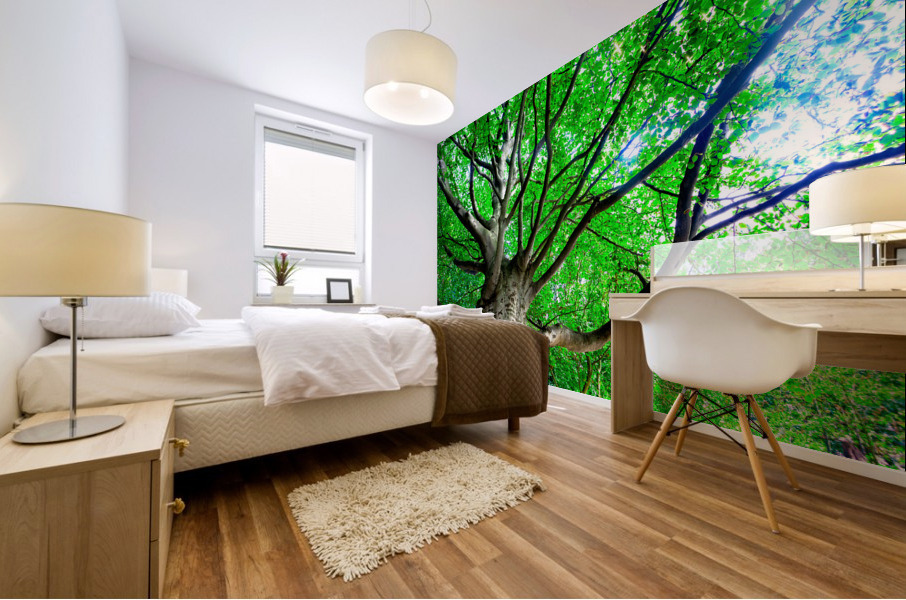 Tree in springtime. Mural print