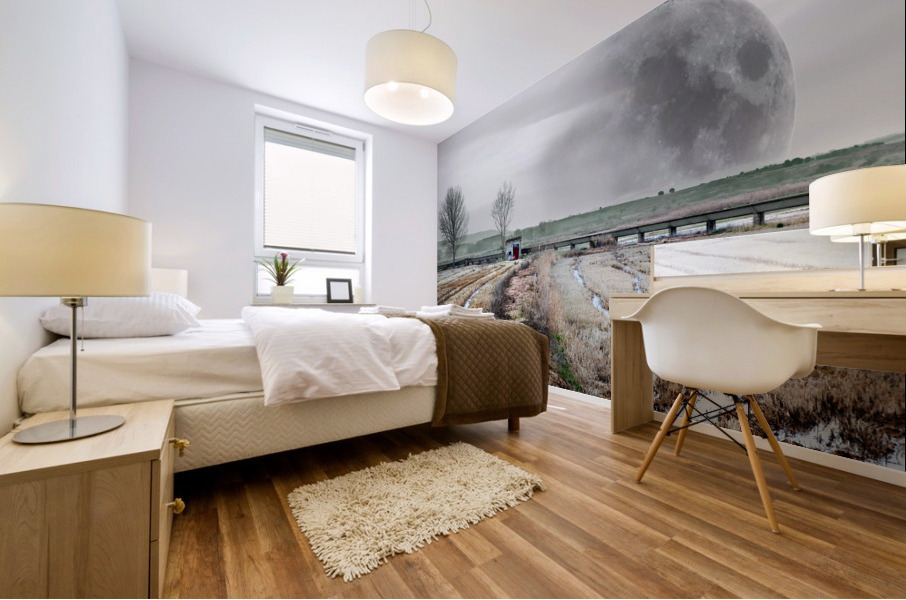 Full moon dreamscape Mural print