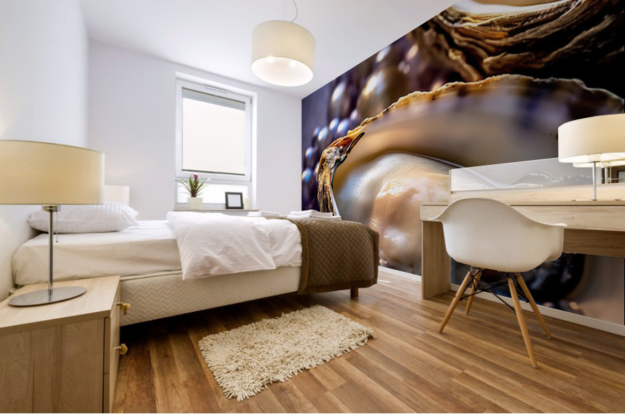 oysters Mural print