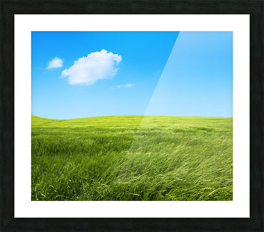 Green grass fields Picture Frame print