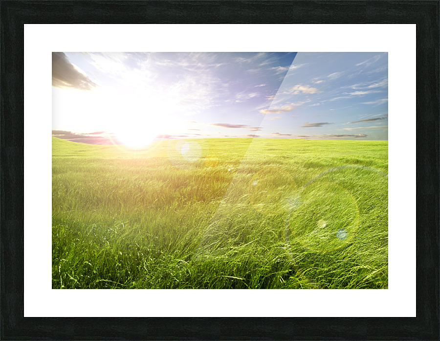 Sunset green fields Picture Frame print