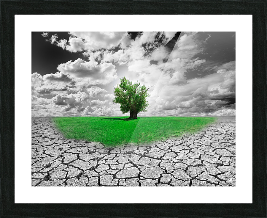 new ecosistem Picture Frame print