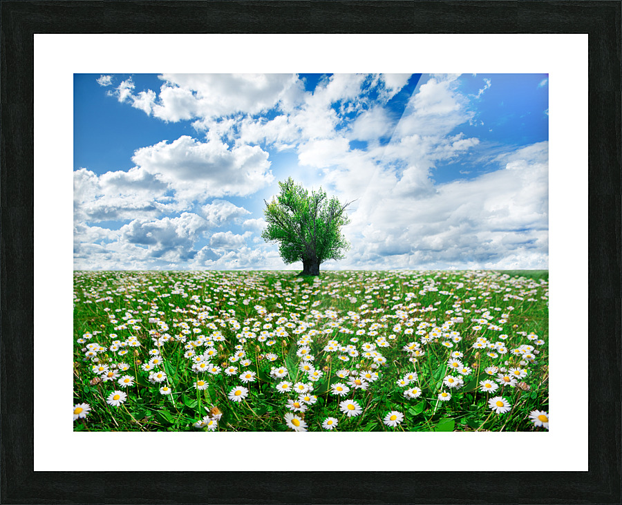 springtime Picture Frame print