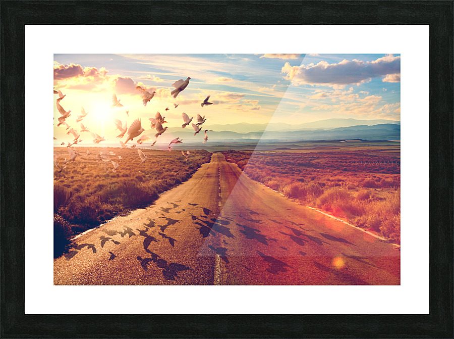 Road freedom Picture Frame print