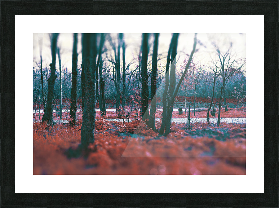 Mystical forest. Picture Frame print