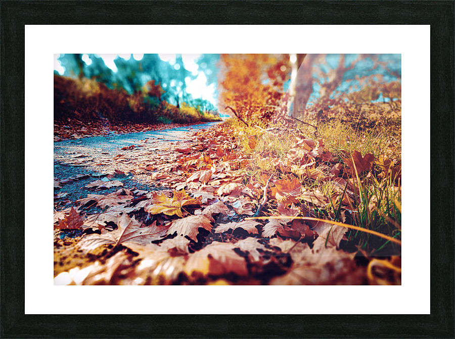 Autumn sunset landscape. Picture Frame print