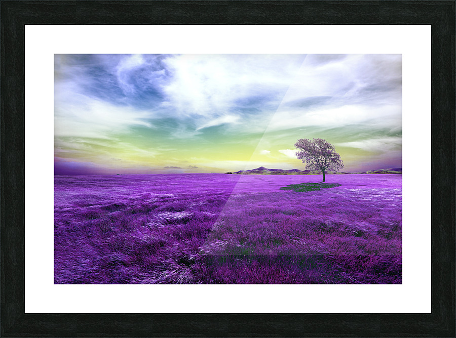 Tree between the fields. Picture Frame print