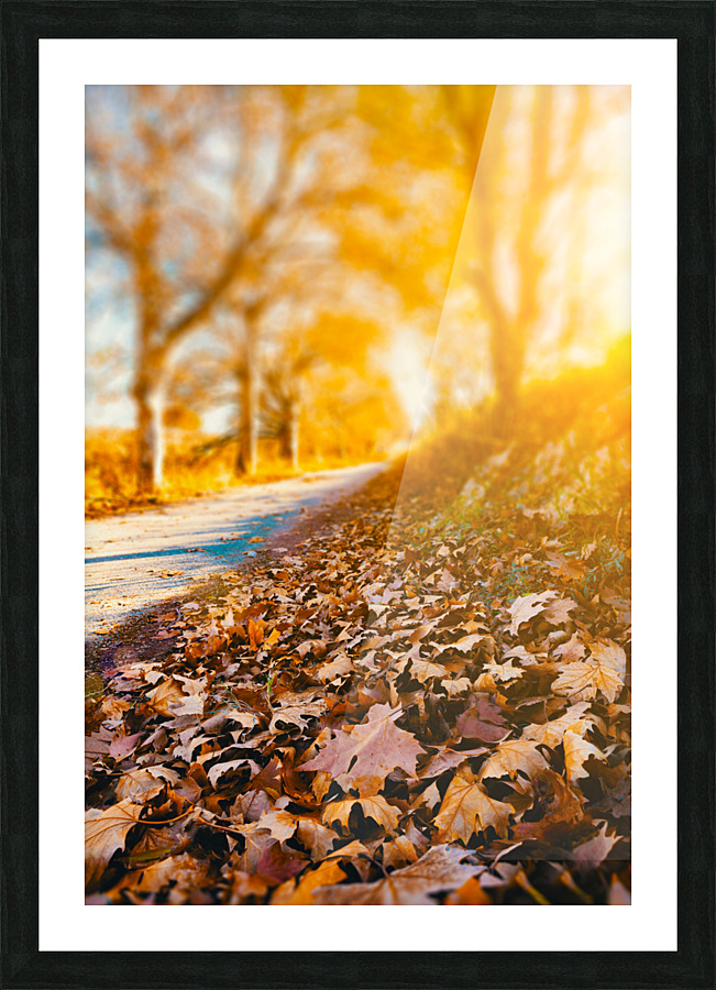 Autumn sunset landscape. Picture Frame print