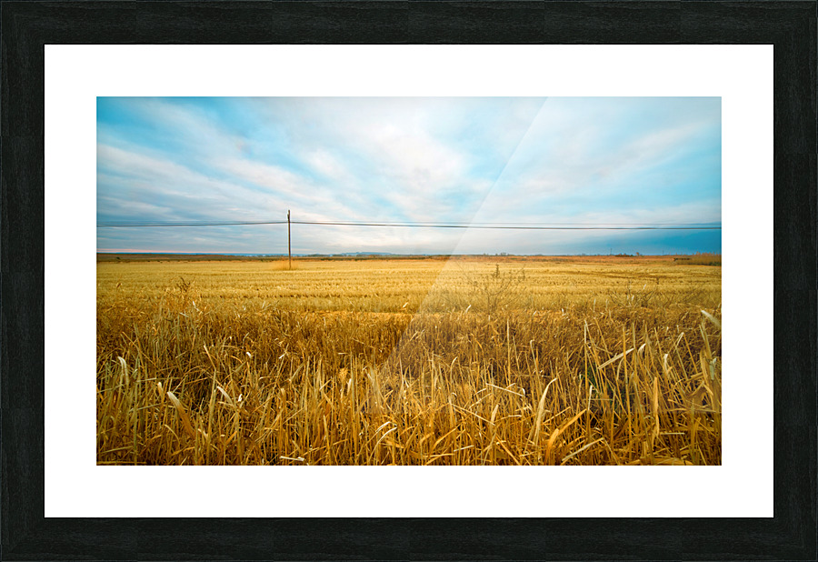 field Picture Frame print