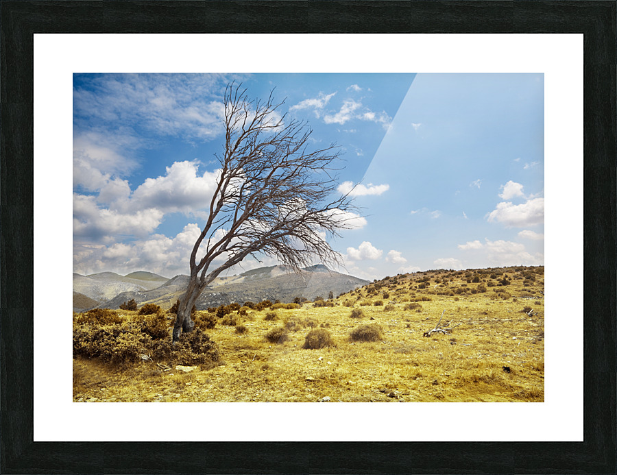 tree landscape Picture Frame print
