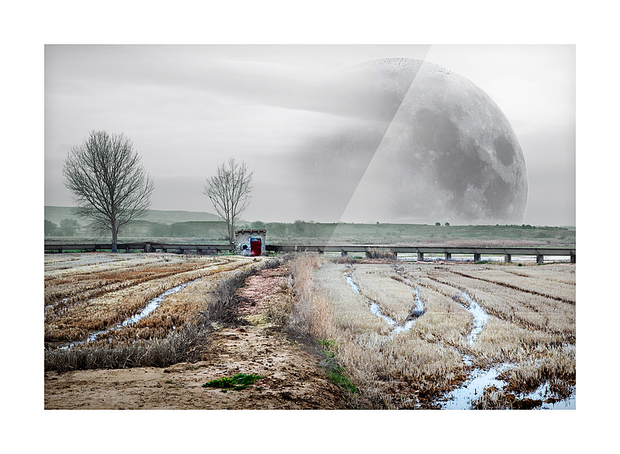 Full moon dreamscape Picture Frame print