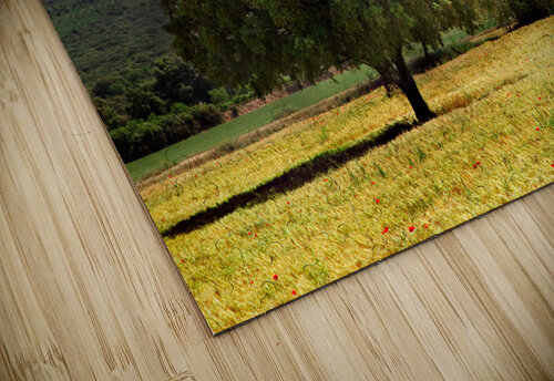 tree and sunshine Carlos Castilla puzzle