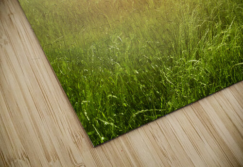 Sunset green fields Carlos Castilla puzzle