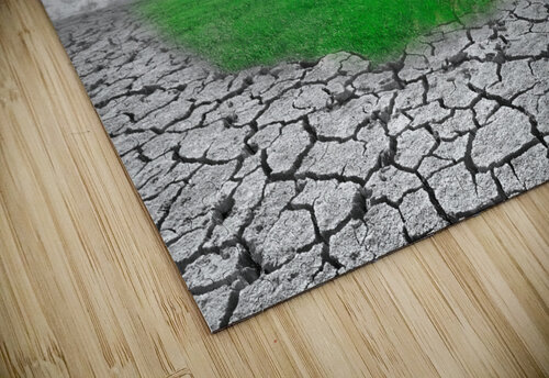 new ecosistem Carlos Castilla puzzle