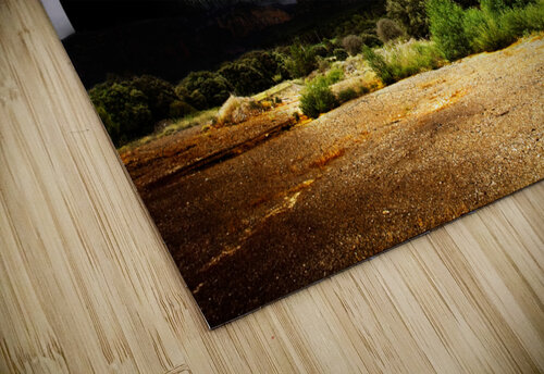 Full moon Carlos Castilla puzzle