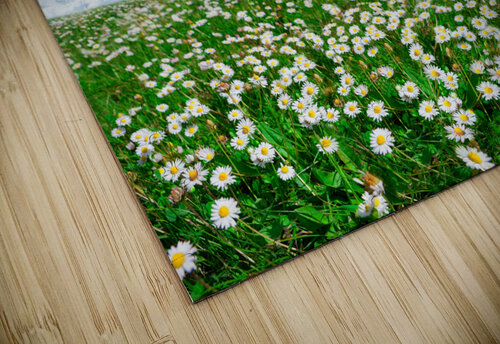 springtime Carlos Castilla puzzle