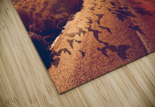 Road freedom Carlos Castilla puzzle