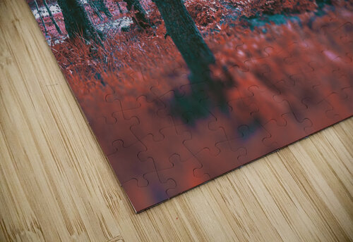 Mystical forest. Carlos Castilla puzzle
