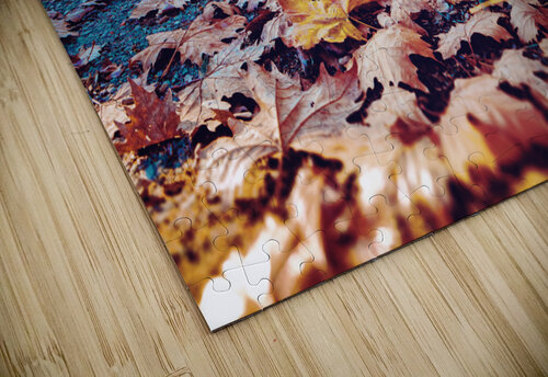 Autumn sunset landscape. Carlos Castilla puzzle