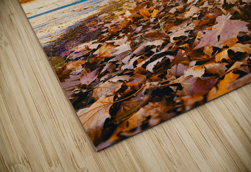 Autumn sunset landscape. Carlos Castilla puzzle