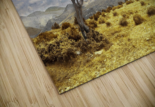tree landscape Carlos Castilla puzzle