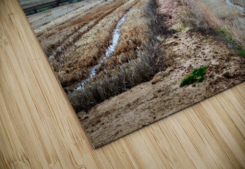 Full moon dreamscape Carlos Castilla puzzle