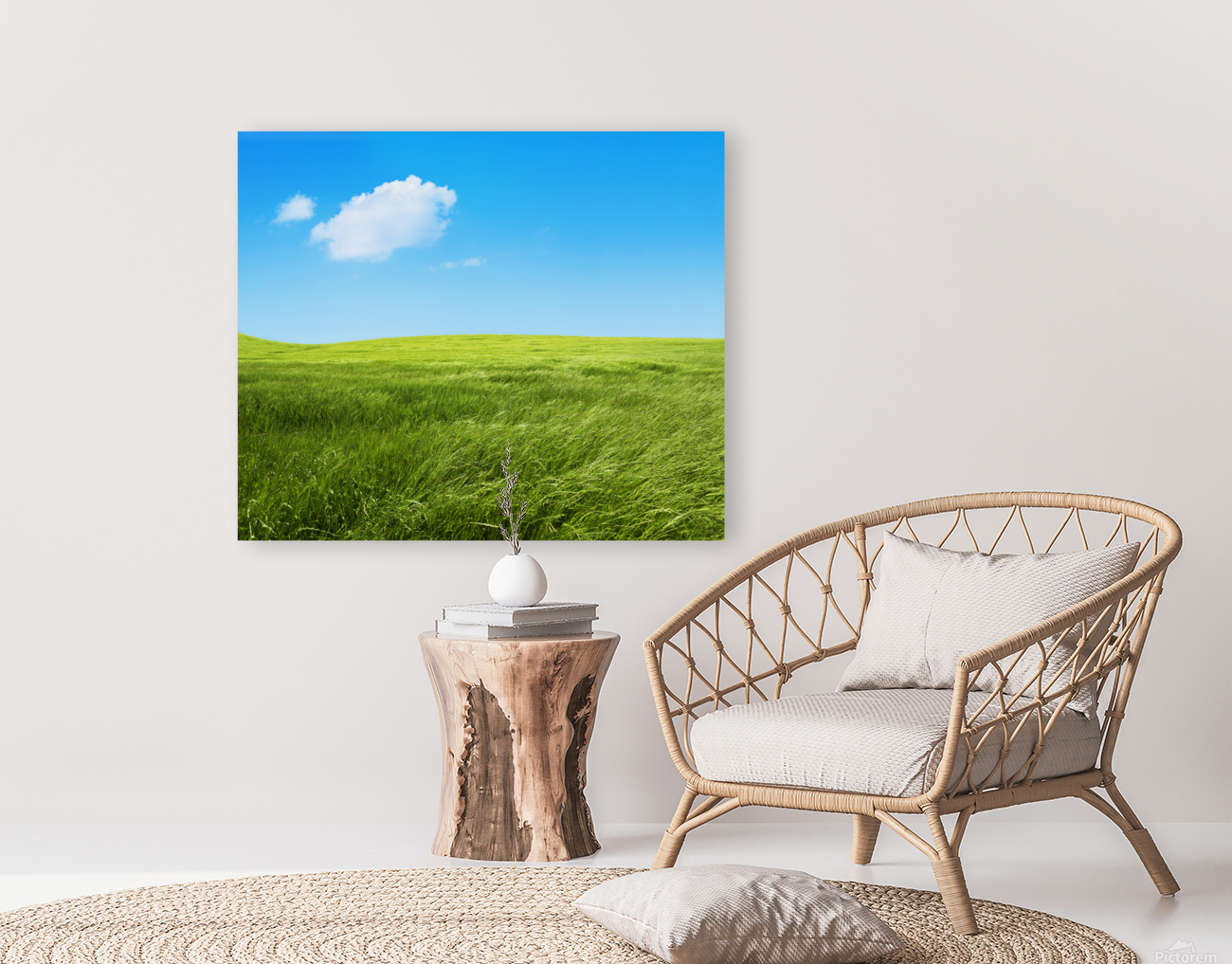 Green grass fields Reproduction