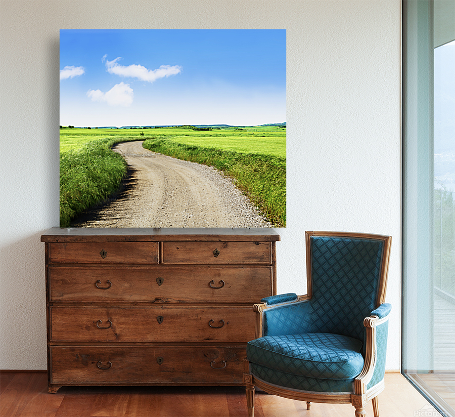 Green grass fields and road Reproduction
