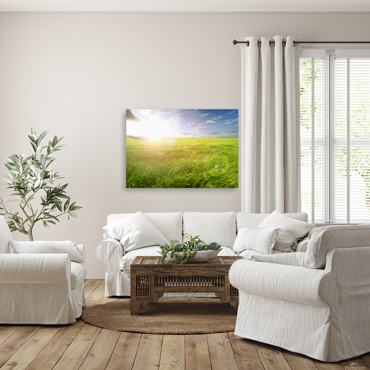 Sunset green fields Reproduction