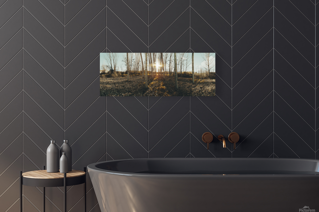 Sunset forest scenery. Reproduction