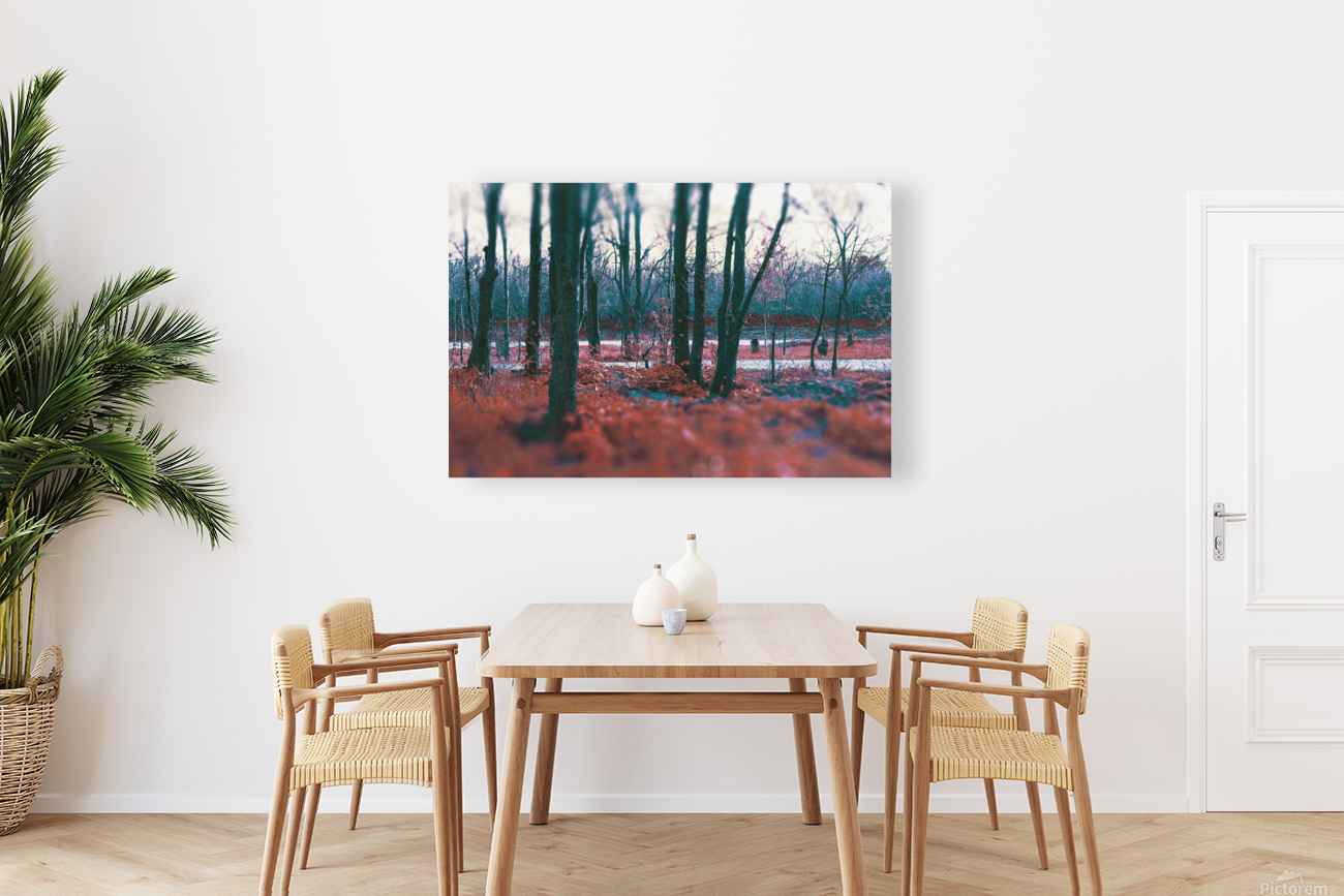 Mystical forest. Reproduction