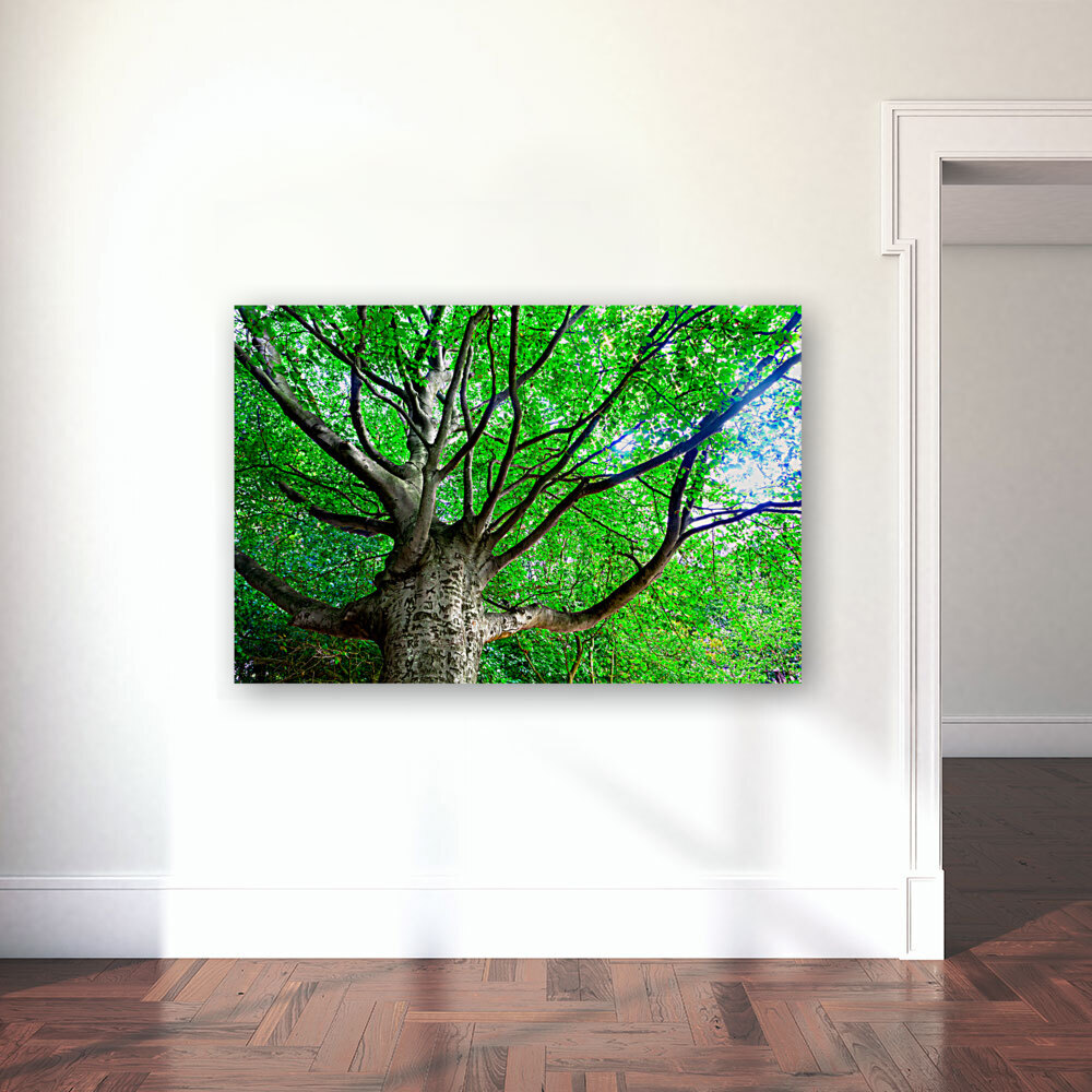Tree in springtime. Reproduction