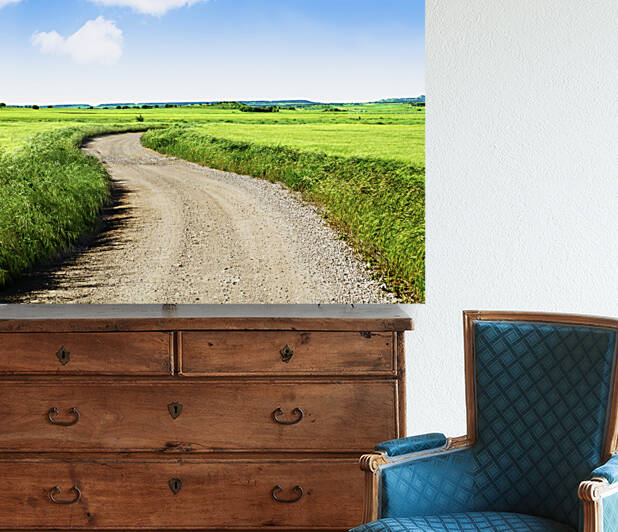 Green grass fields and road Reproduction