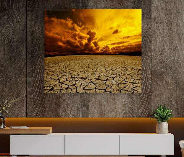 Desert scenic landscape by Carlos Castilla