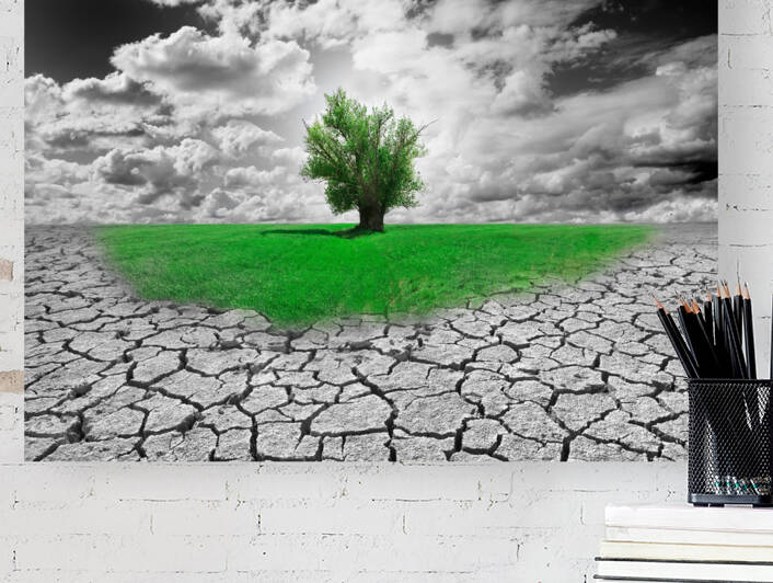 new ecosistem by Carlos Castilla