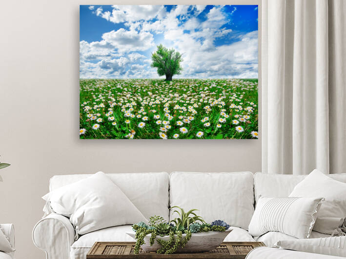 springtime by Carlos Castilla