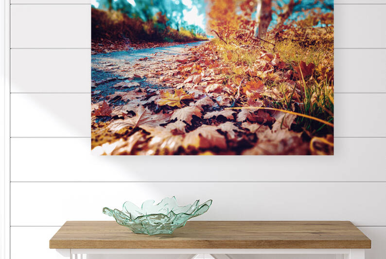 Autumn sunset landscape. Reproduction