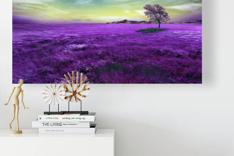Tree between the fields. Reproduction
