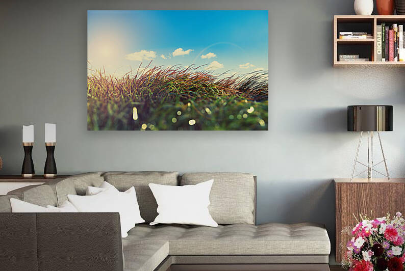 Sunset fields and sunbeam.Wind in the meadow nature background. by Carlos Castilla