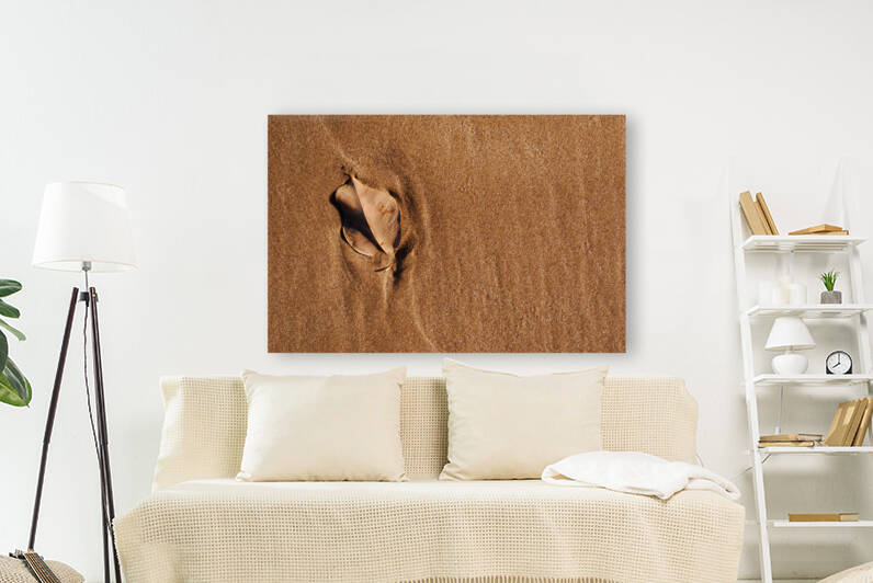 Still life nature by Carlos Castilla
