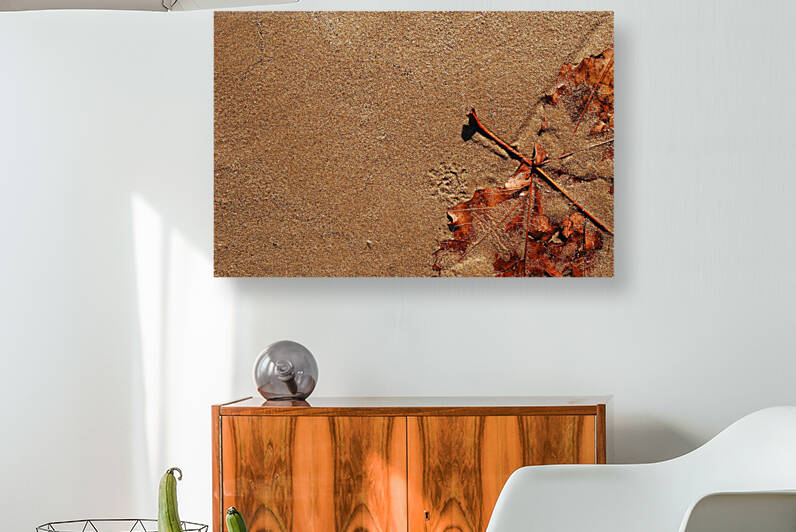 Still life nature by Carlos Castilla